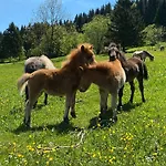 Tannenblick 2-2 3-4