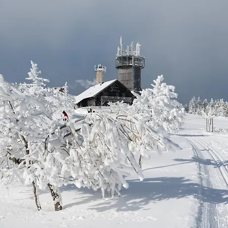 Tannenblick 2-2 3-4 Apartamento