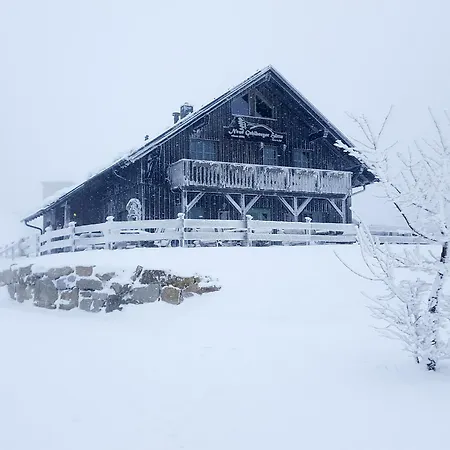 Appartement Tannenblick 2-2 3-4 *
