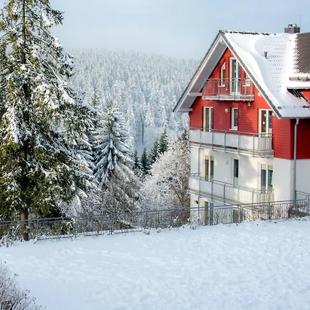 Apartamento Tannenblick 2-2 3-4 *