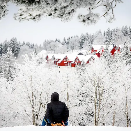 Tannenblick 2-2 3-4 * Oberhof (Thuringia)