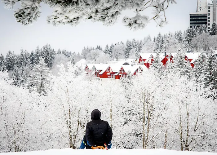 Tannenblick 2-2 3-4 Apartamento Oberhof (Thuringia)