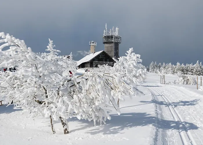 Tannenblick 2-2 3-4 Apartamento