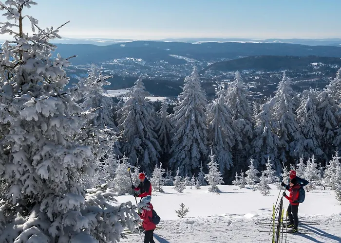 Tannenblick 2-2 3-4 Apartamento